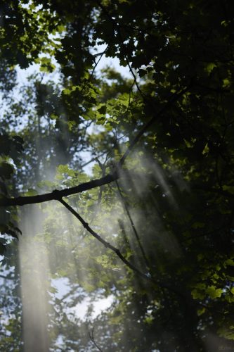 annabel-peffer-technomag-XRDS31